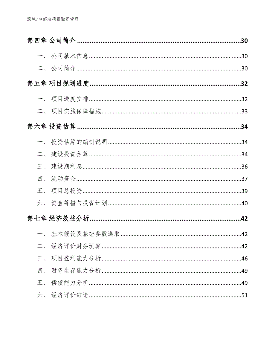 电解液项目融资管理_第2页