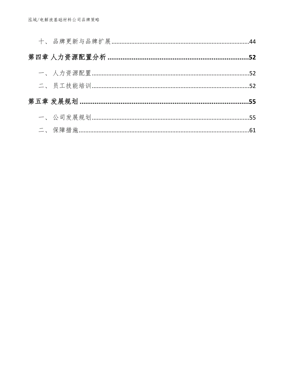 电解液基础材料公司品牌策略【范文】_第2页