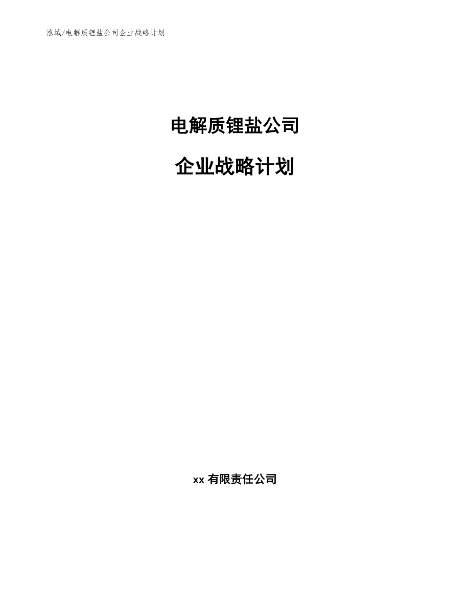 电解质锂盐公司企业战略计划（范文）_第1页