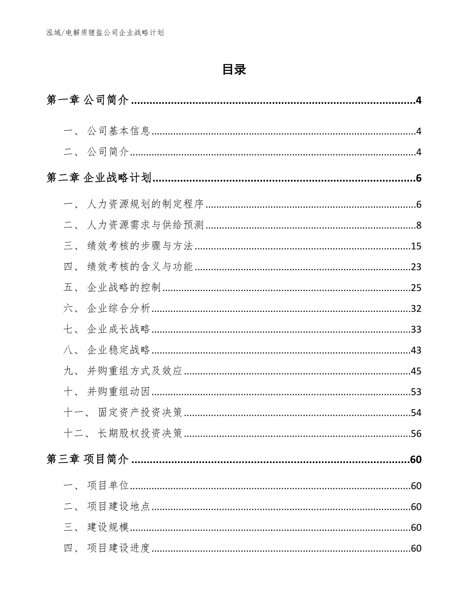 电解质锂盐公司企业战略计划（范文）_第2页