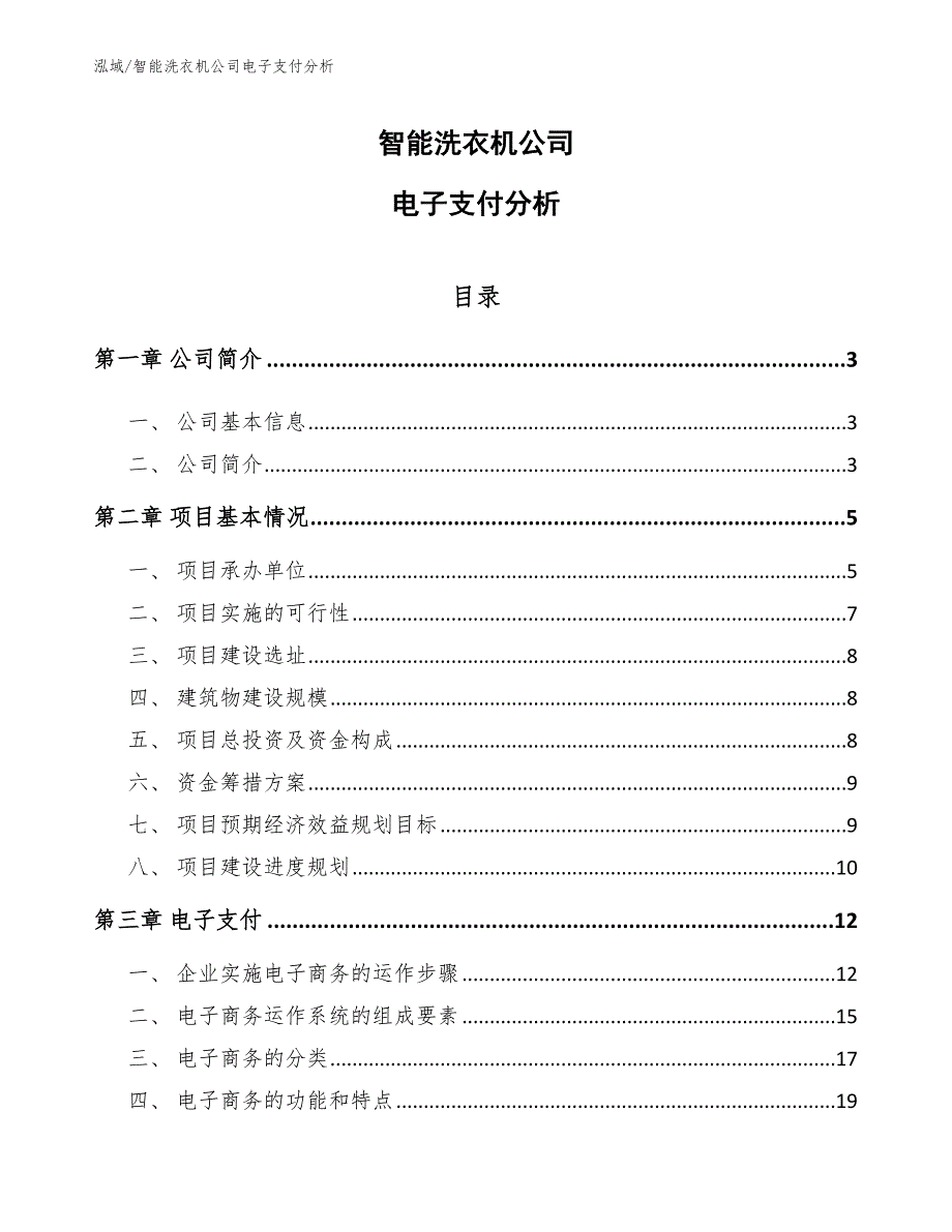 智能洗衣机公司电子支付分析_第1页