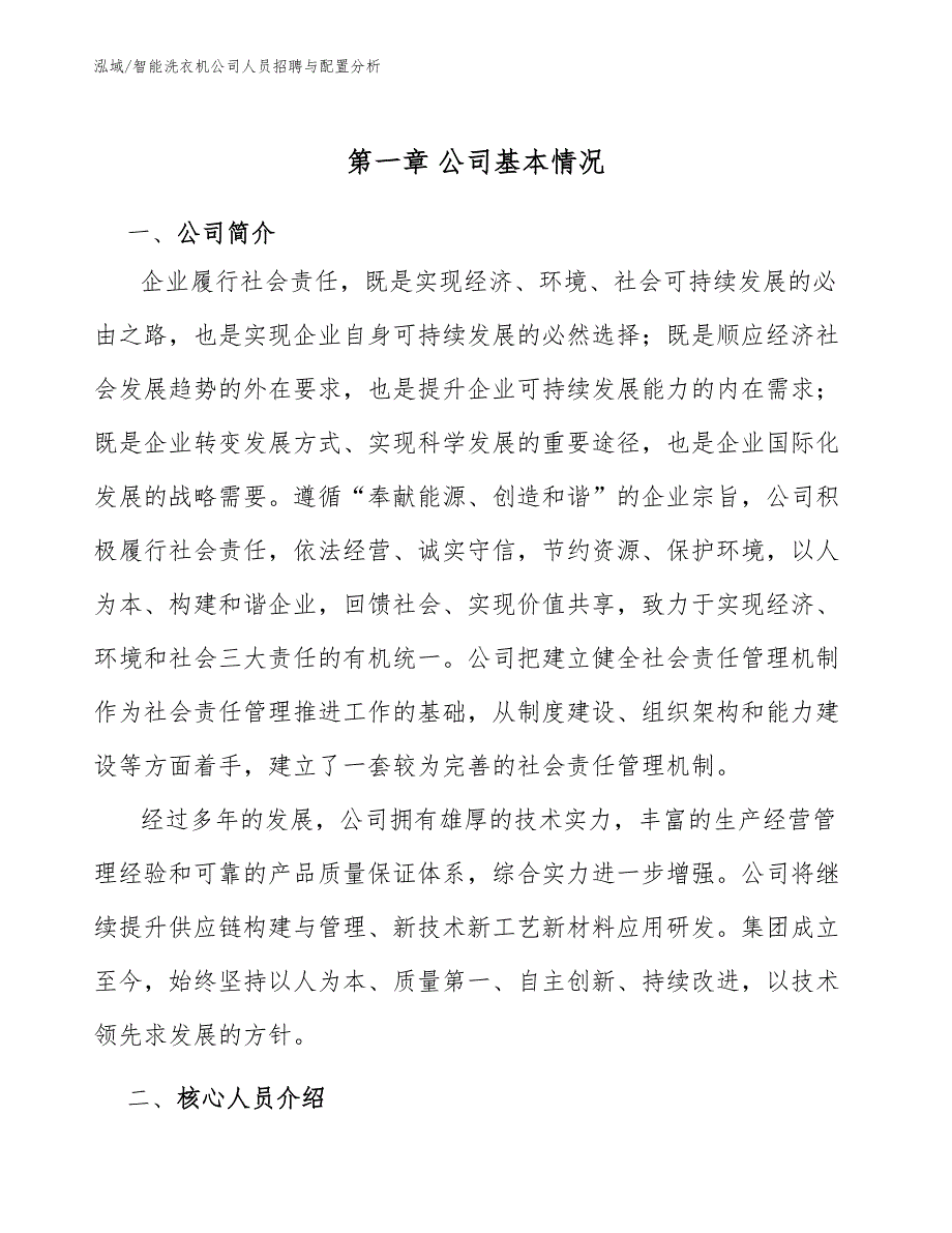 智能洗衣机公司人员招聘与配置分析（参考）_第3页