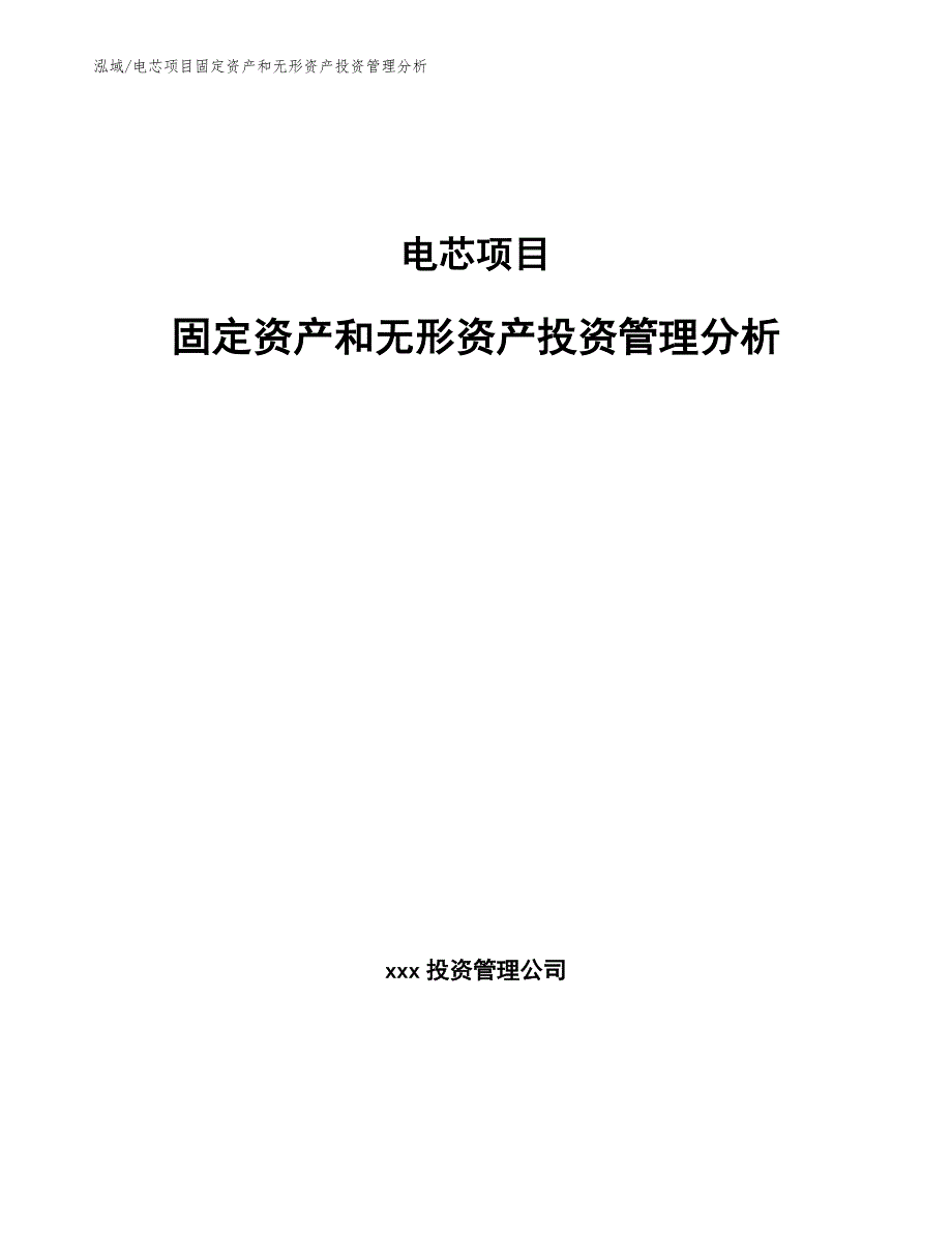 电芯项目固定资产和无形资产投资管理分析【参考】_第1页