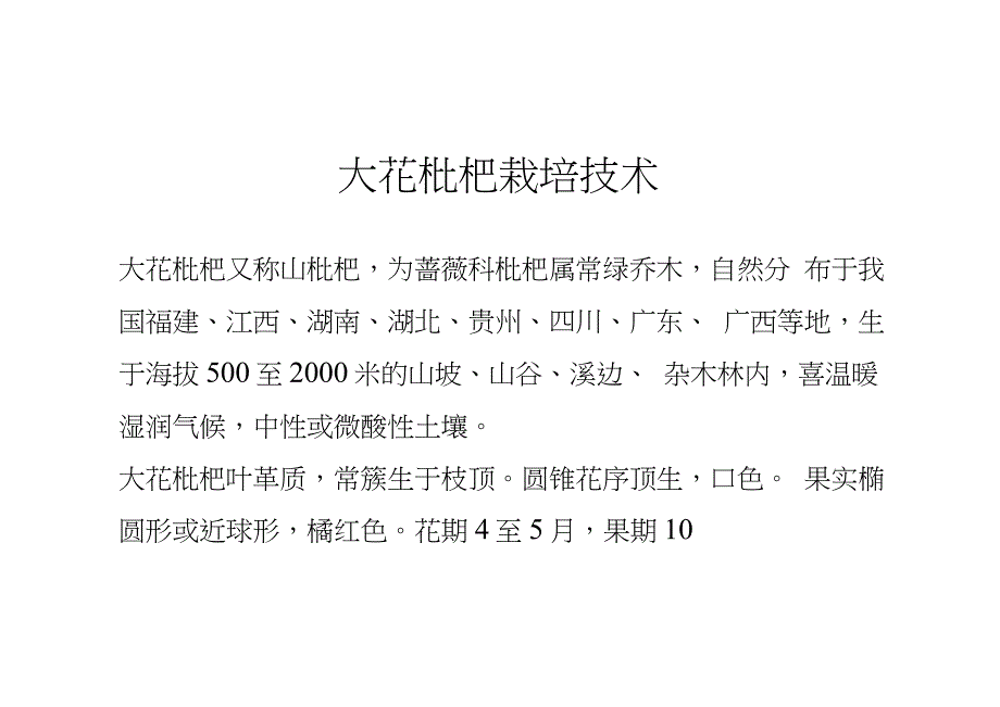 大花枇杷栽培技_第1页