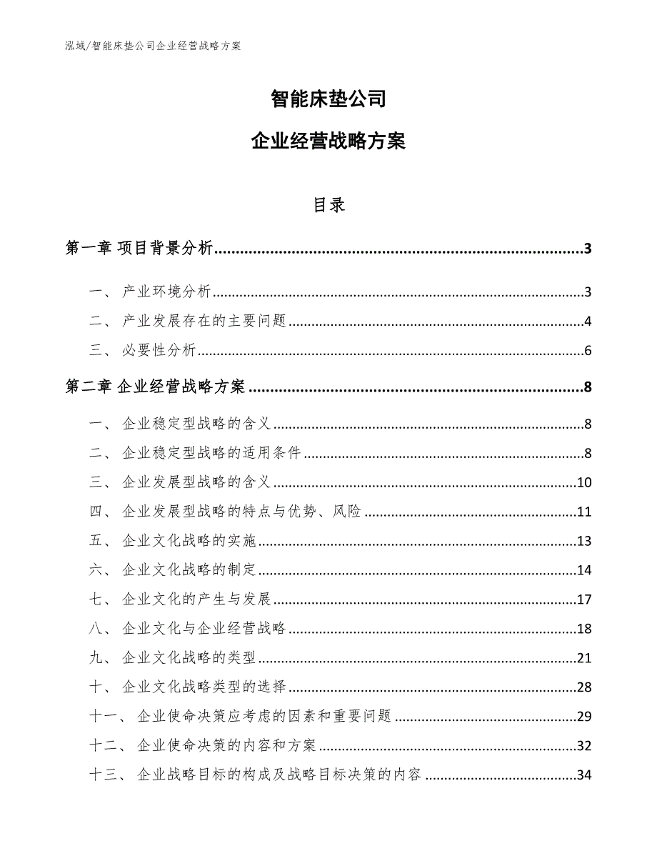 智能床垫公司企业经营战略方案（范文）_第1页