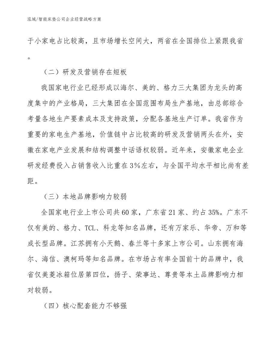 智能床垫公司企业经营战略方案（范文）_第5页