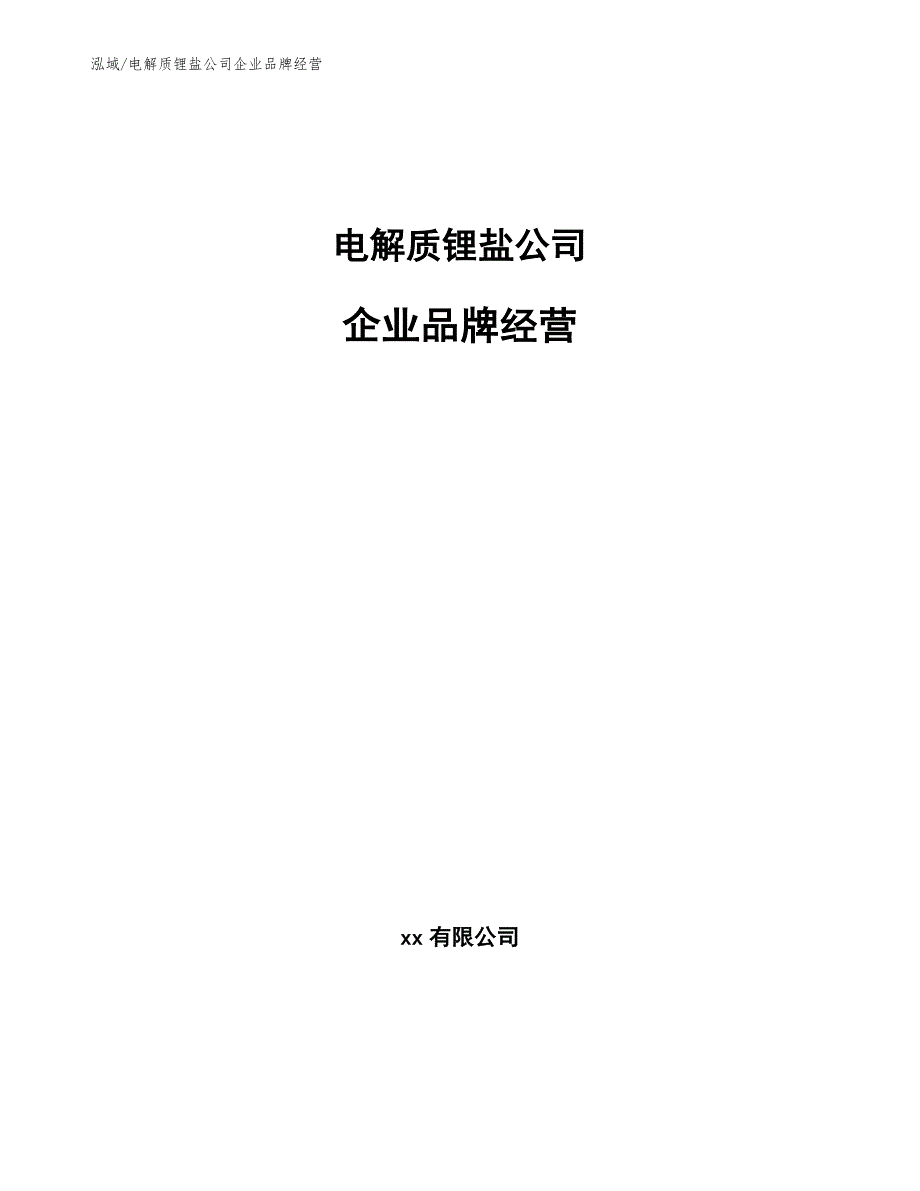 电解质锂盐公司企业品牌经营【参考】_第1页