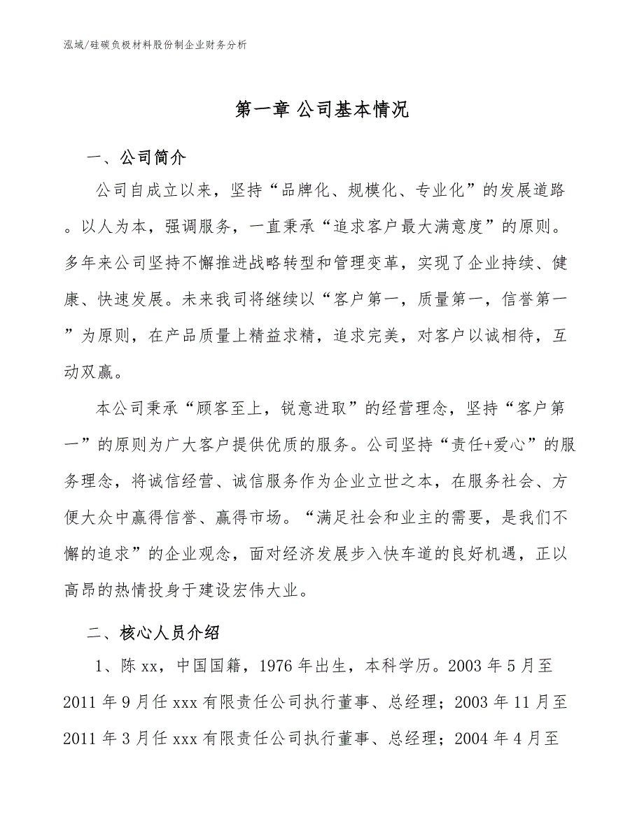 硅碳负极材料股份制企业财务分析_第4页