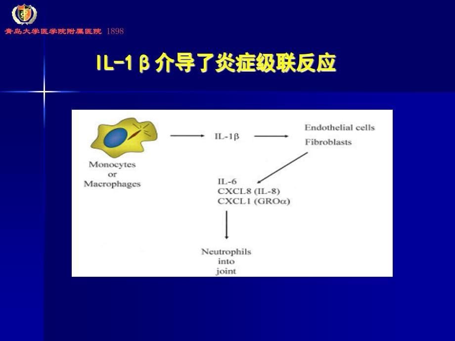 《痛风讲座》PPT课件_第5页