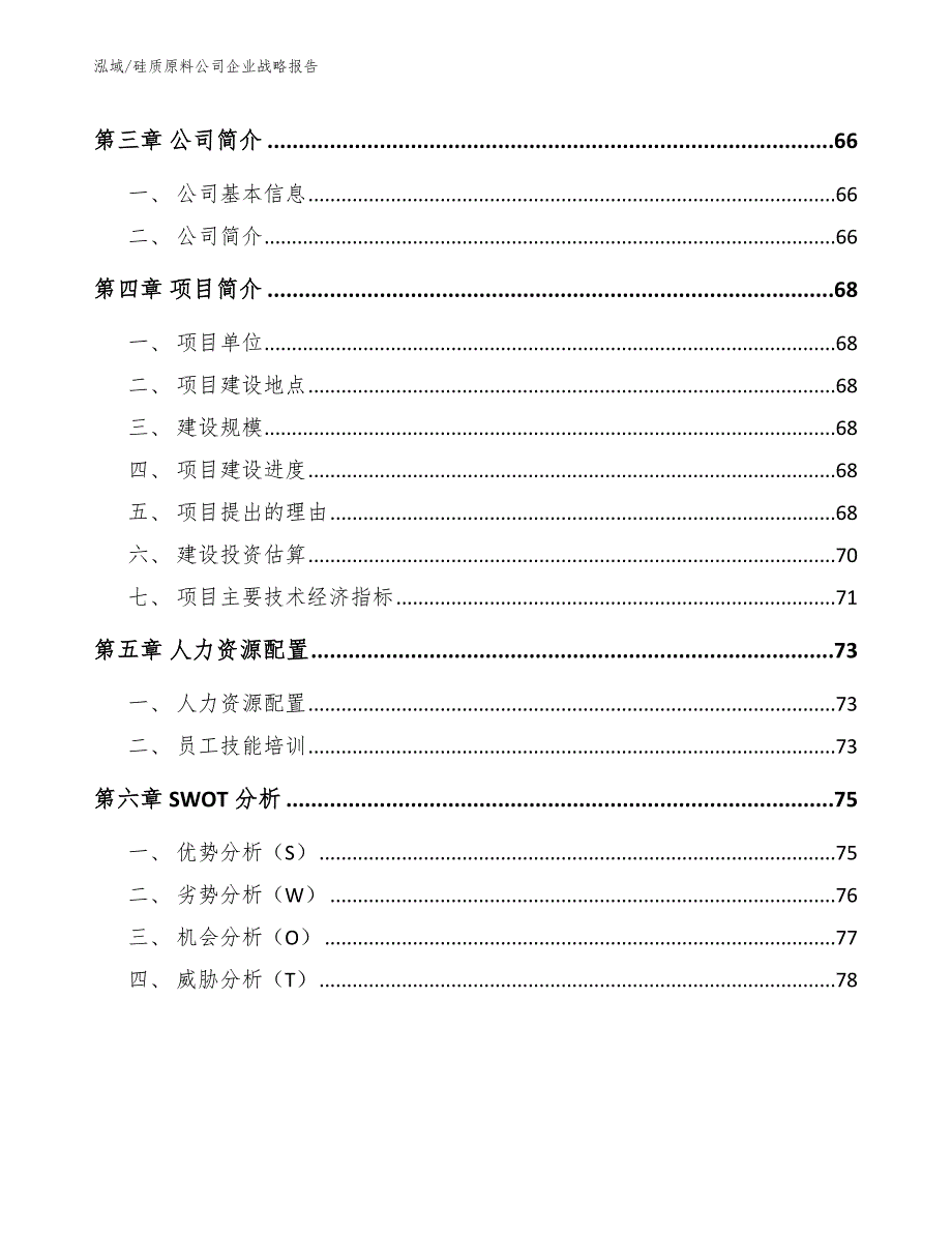 硅质原料公司企业战略报告【范文】_第2页