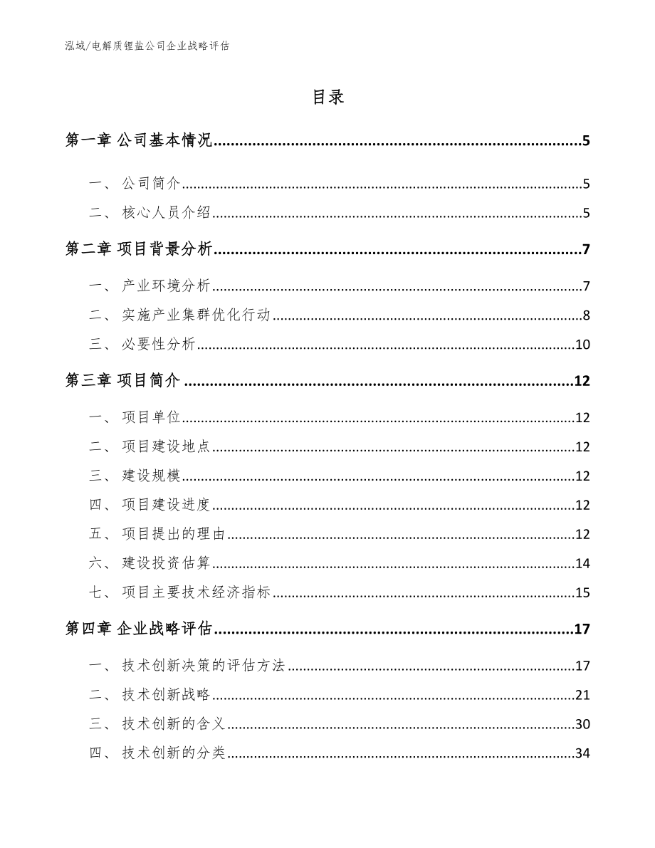 电解质锂盐公司企业战略评估_范文_第2页