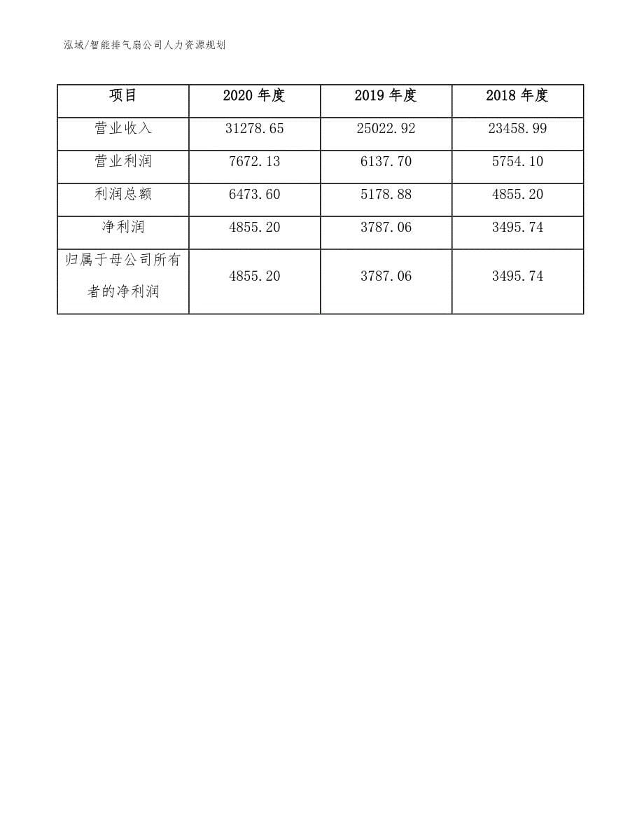 智能排气扇公司人力资源规划（范文）_第5页