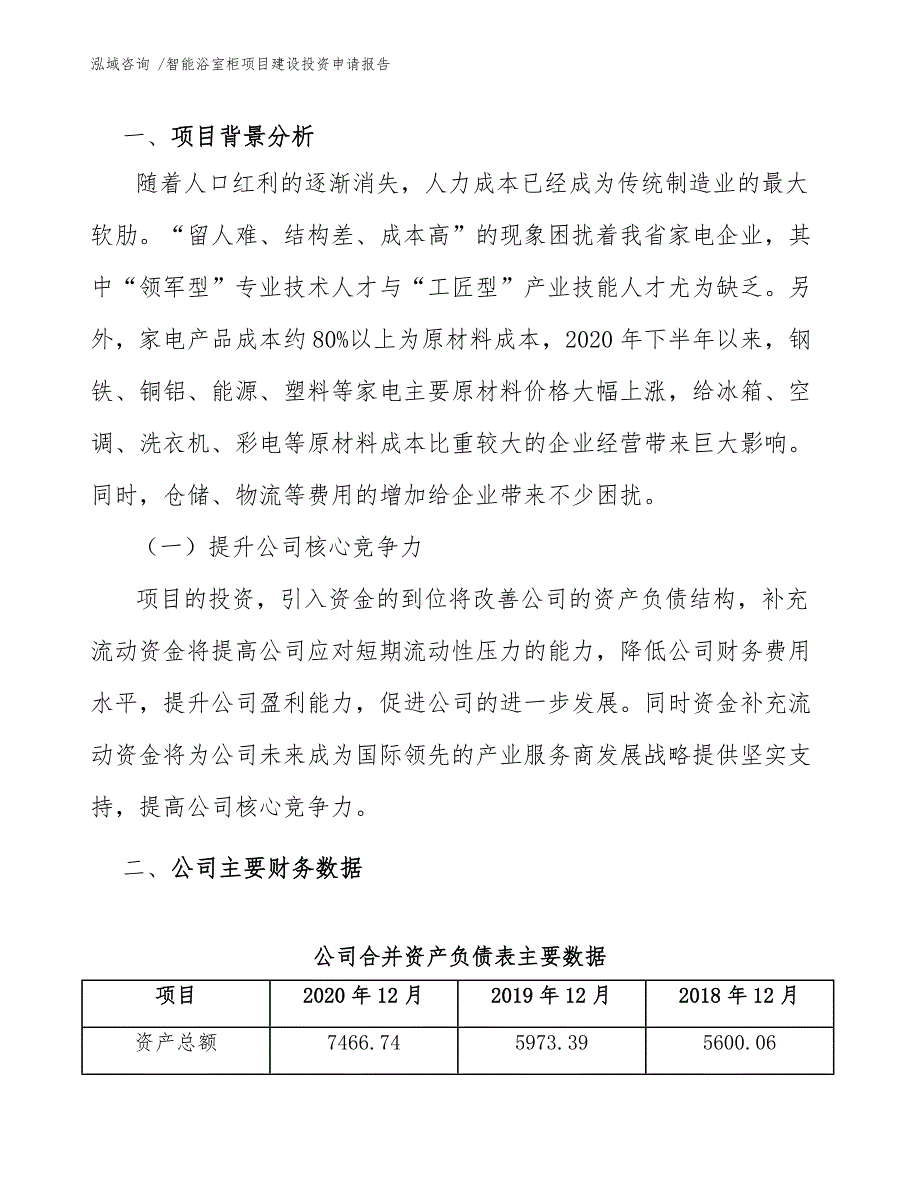 智能浴室柜项目建设投资申请报告模板参考_第4页