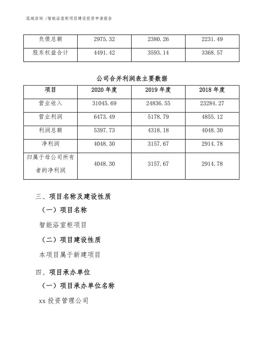 智能浴室柜项目建设投资申请报告模板参考_第5页