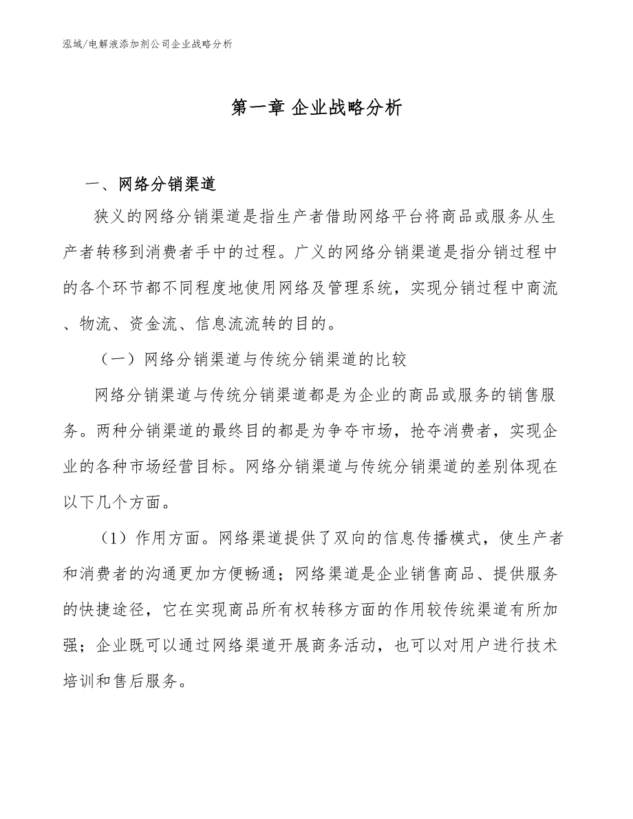 电解液添加剂公司企业战略分析（范文）_第4页