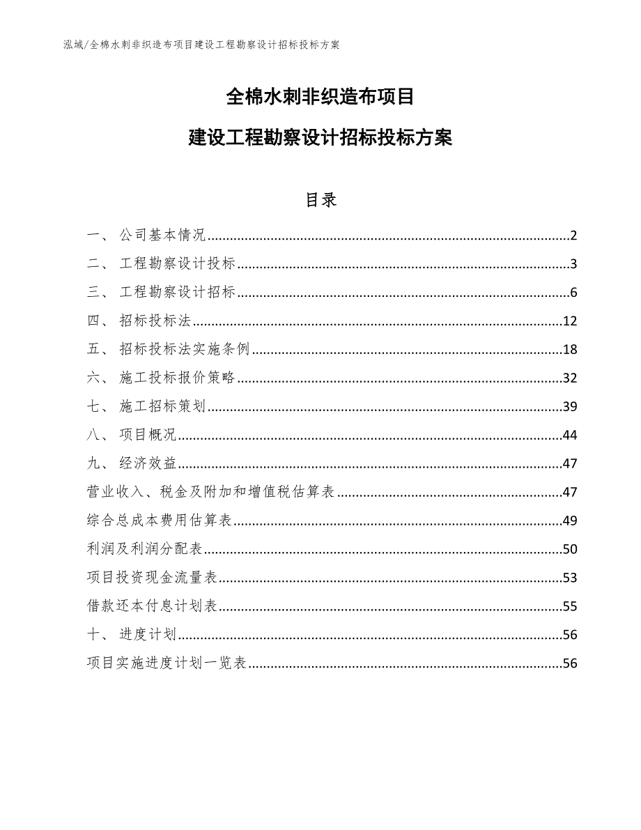 全棉水刺非织造布项目建设工程勘察设计招标投标方案（参考）_第1页