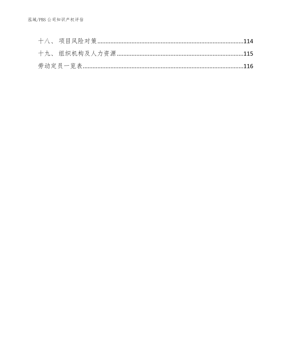 PBS公司知识产权评估_第2页