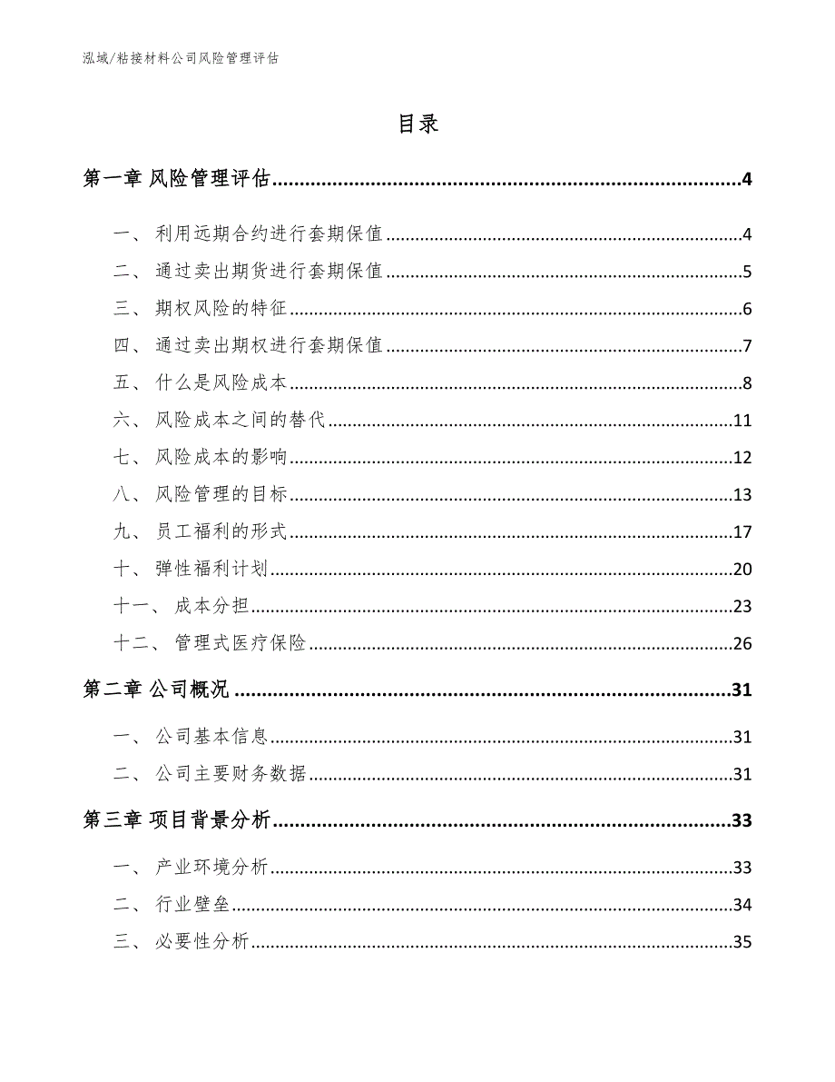 粘接材料公司风险管理评估【范文】_第2页