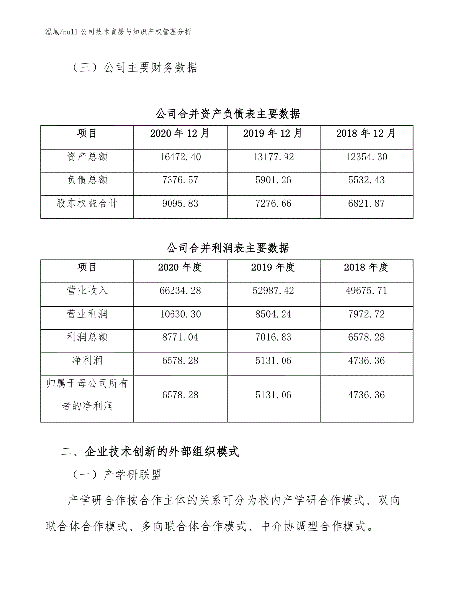 null公司技术贸易与知识产权管理分析（参考）_第4页