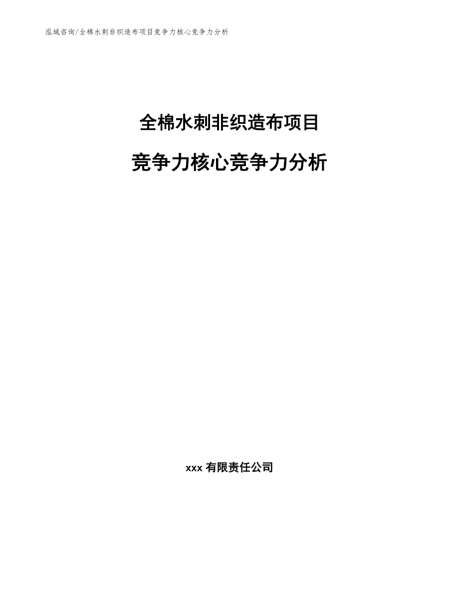 全棉水刺非织造布项目竞争力核心竞争力分析_第1页