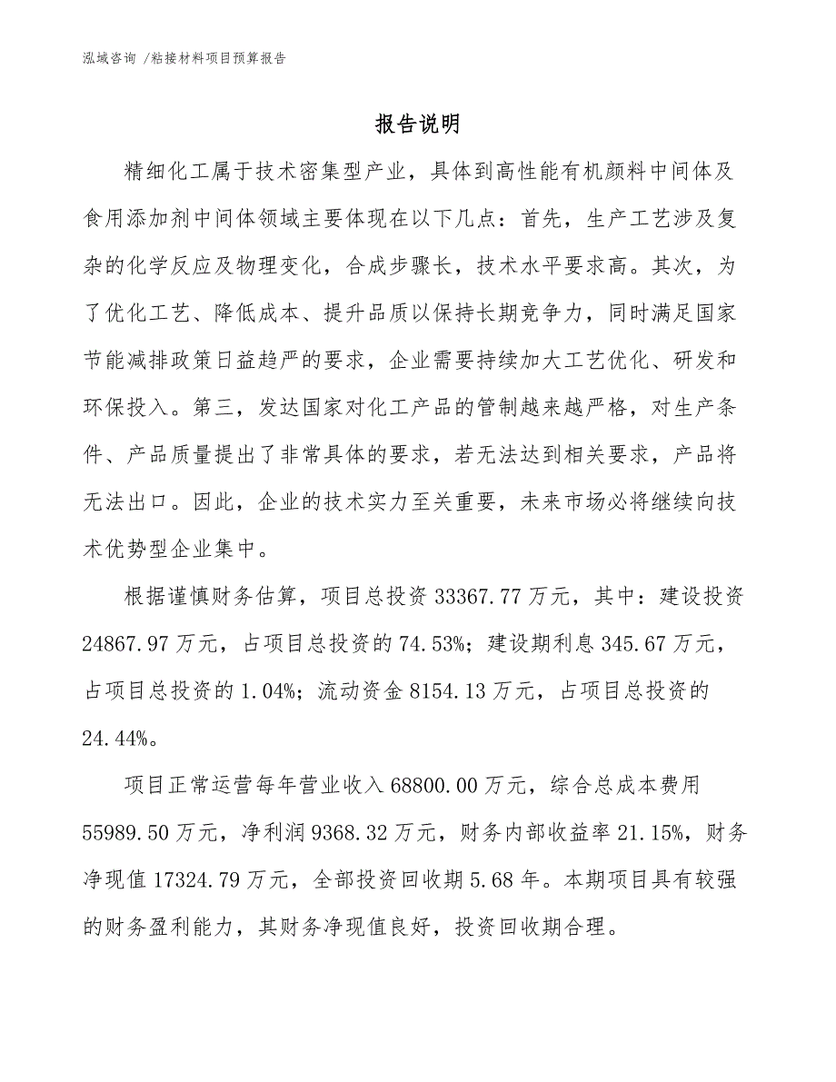 粘接材料项目预算报告-（模板）_第1页