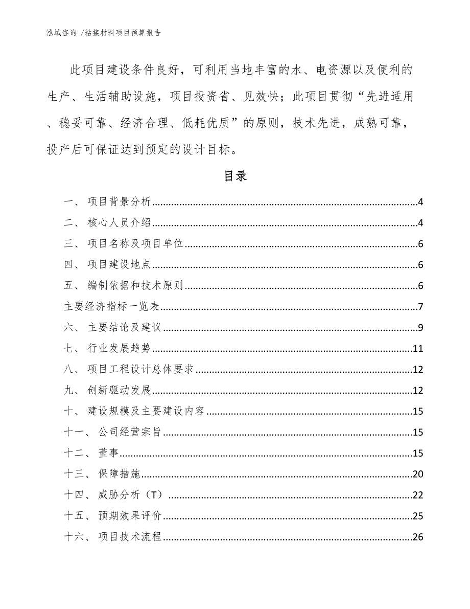 粘接材料项目预算报告-（模板）_第2页