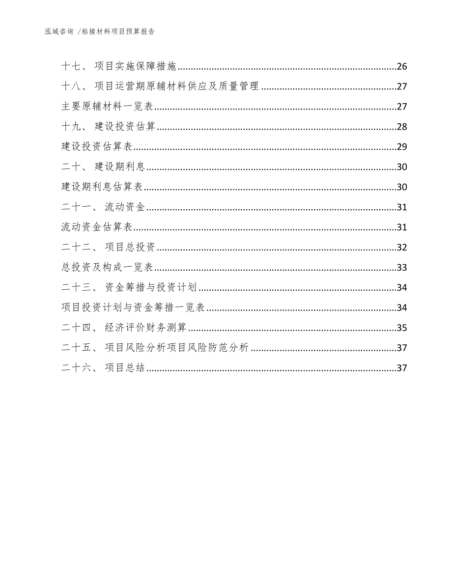 粘接材料项目预算报告-（模板）_第3页