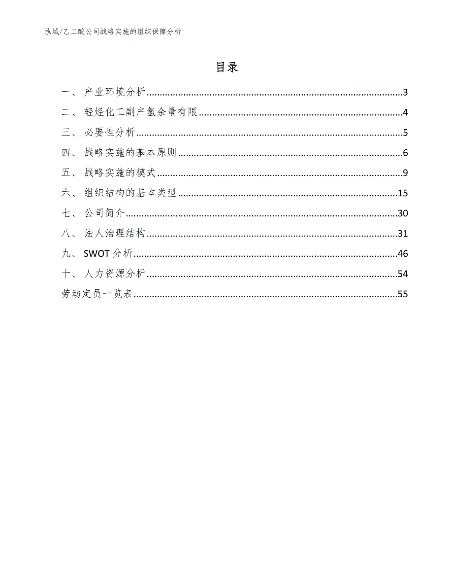 乙二酸公司战略实施的组织保障分析（参考）_第2页