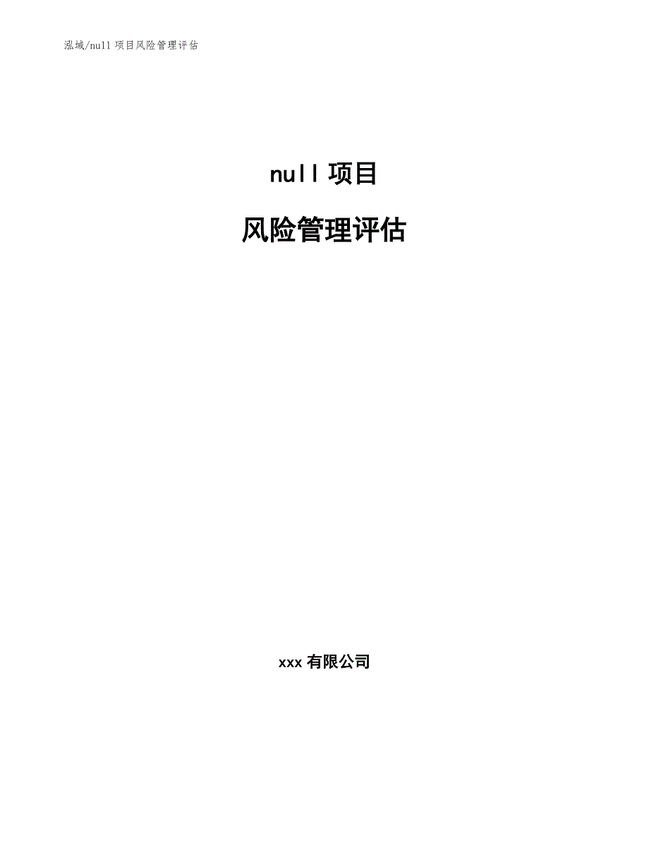 null项目风险管理评估（范文）_第1页