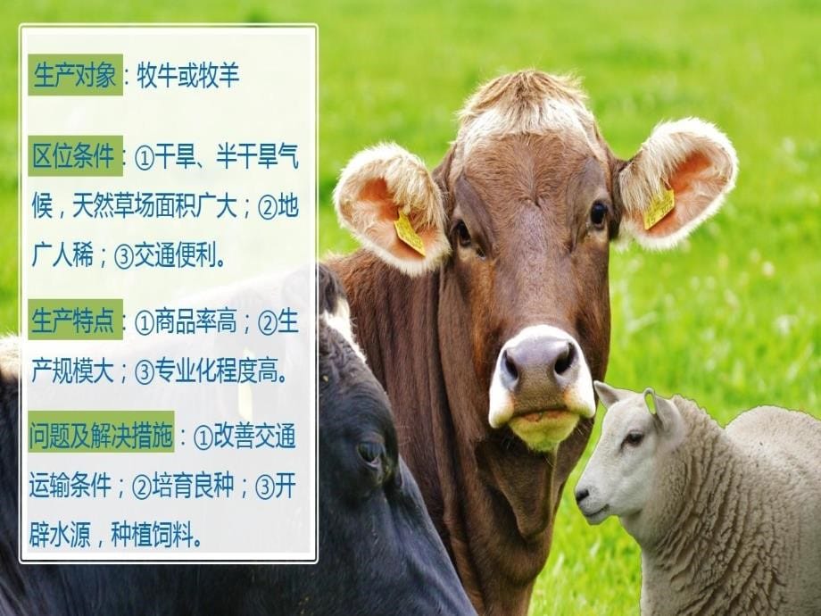 高三地理第一轮复习以畜牧业为主的农业地域类型课件_第5页