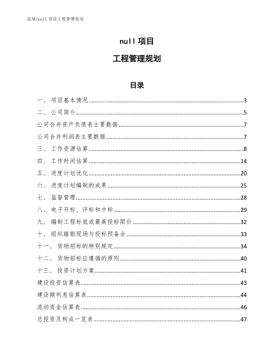 null项目工程管理规划_第1页