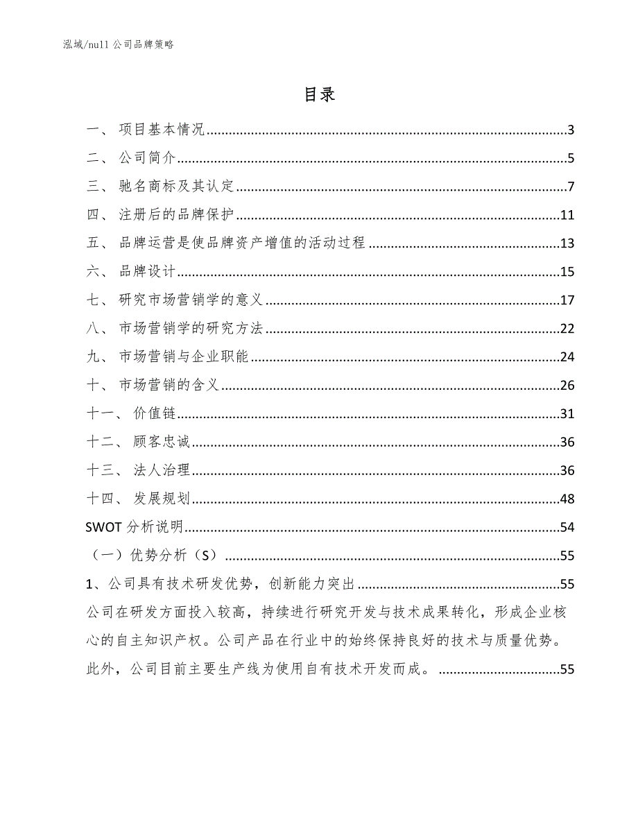 null公司品牌策略_范文_第2页