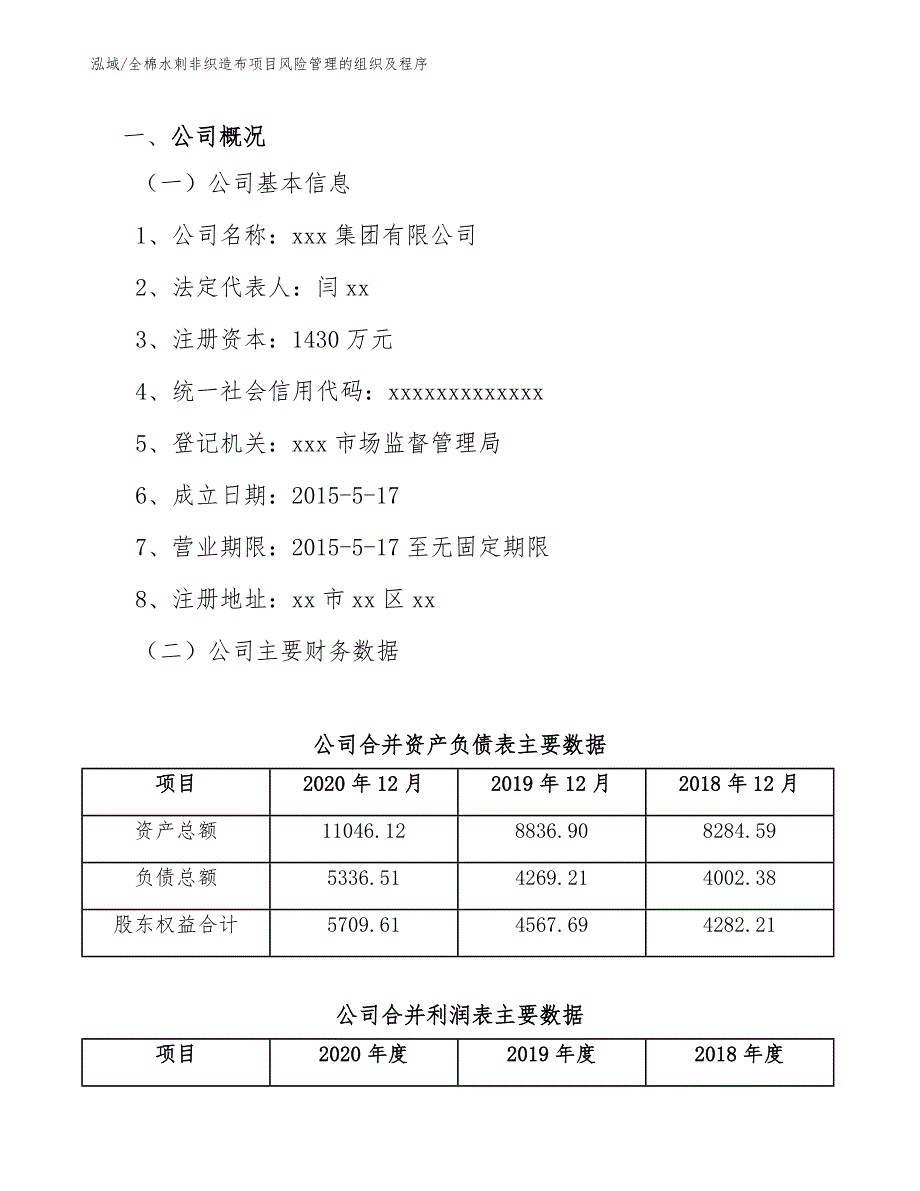 全棉水刺非织造布项目风险管理的组织及程序_第2页