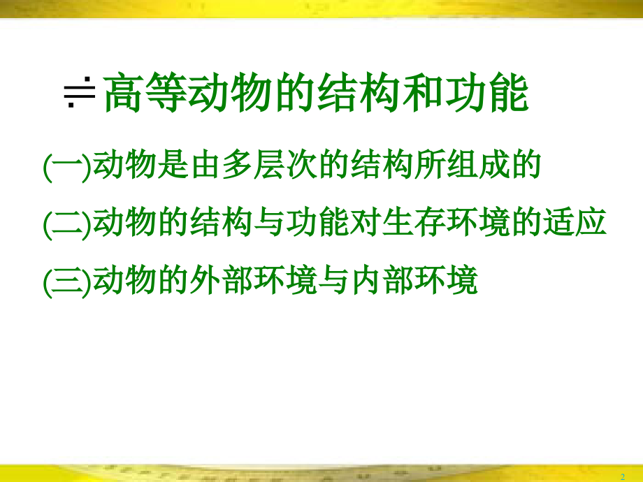 动物的形态与功能(12)_第2页