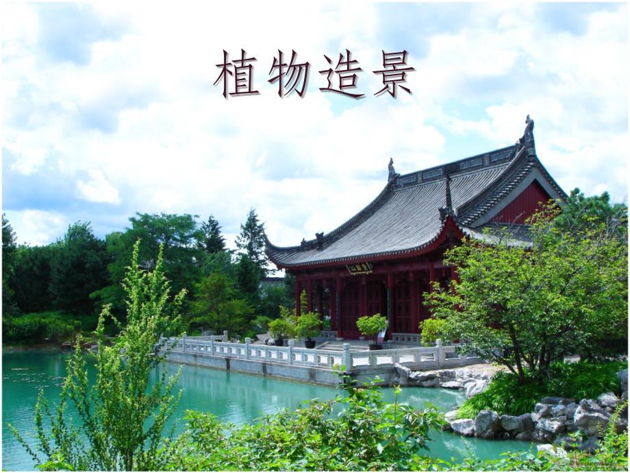 花镜设计加小区植物配置课件_第1页