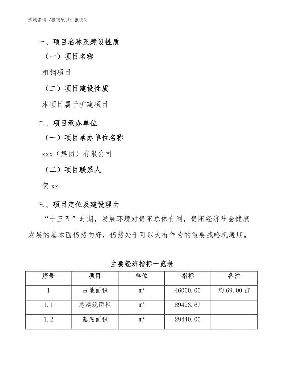 粗钢项目汇报说明_第5页