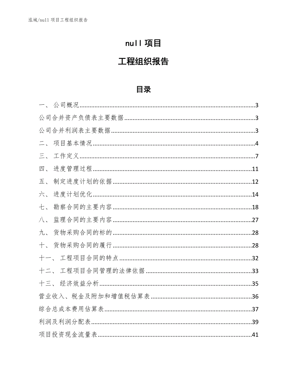 null项目工程组织报告【范文】_第1页