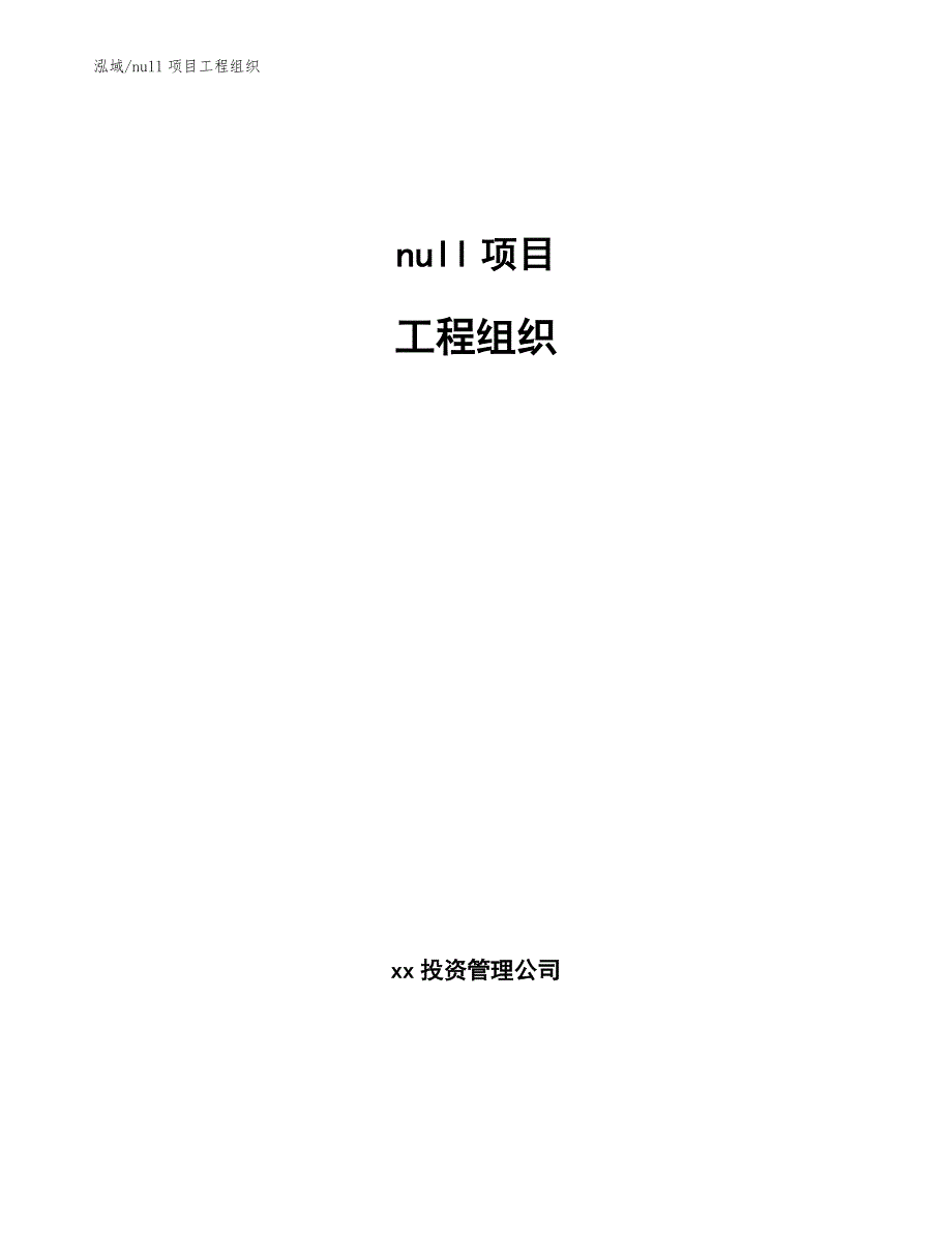 null项目工程组织_范文_第1页