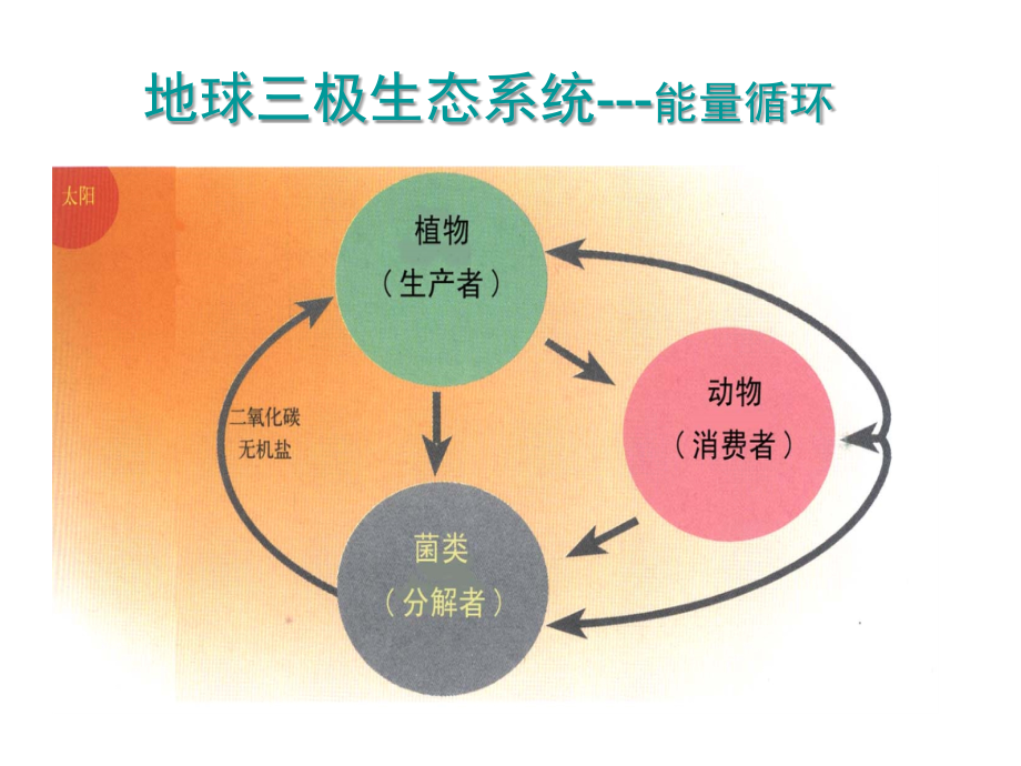 卢大儒 《生命科学导论》课件第7章生导能量与代谢2012_第3页