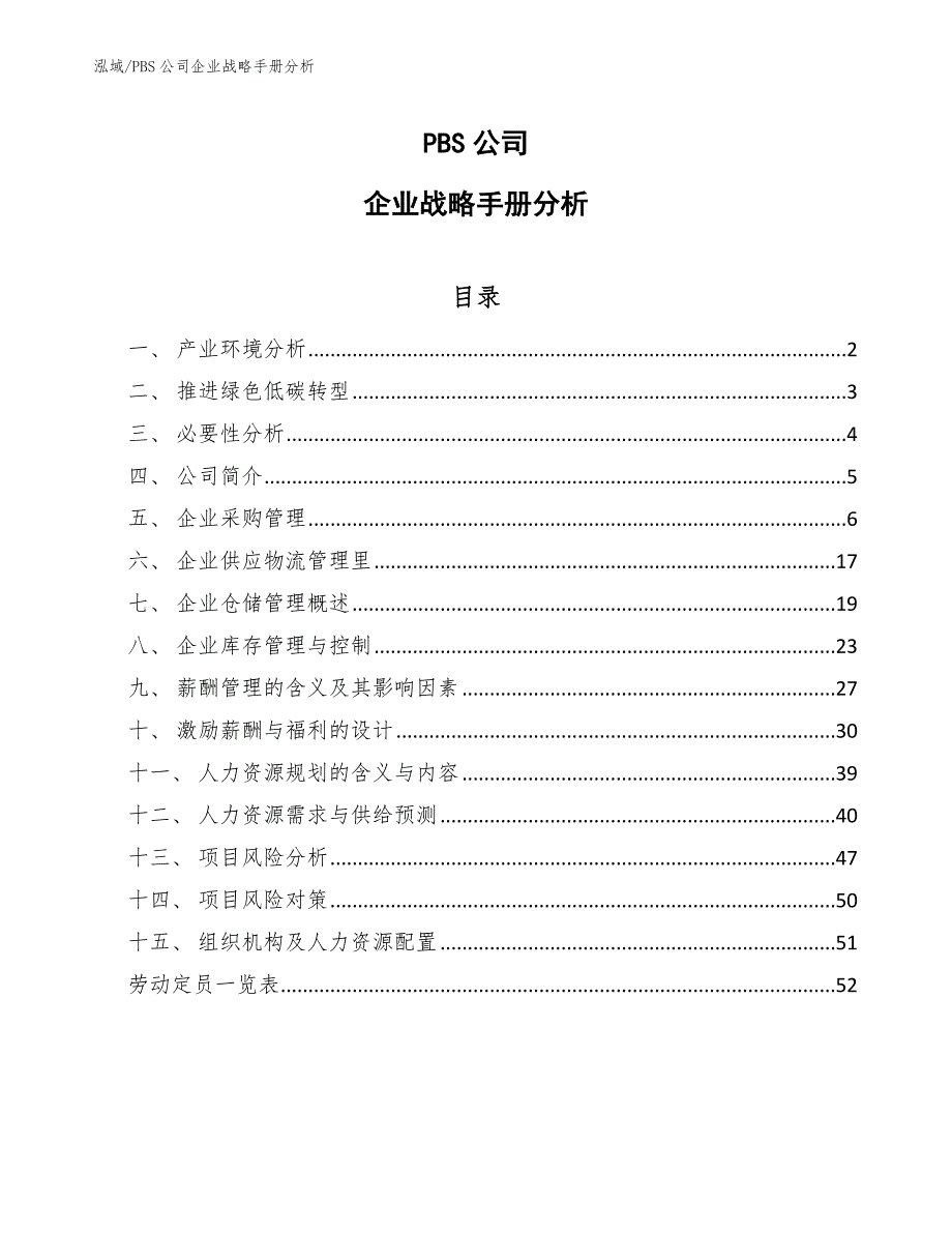 PBS公司企业战略手册分析【范文】_第1页