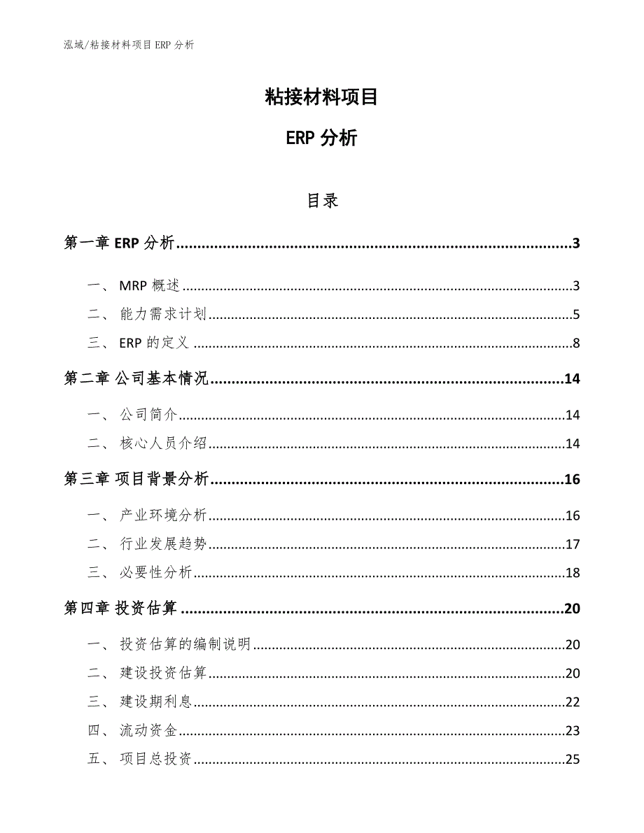 粘接材料项目ERP分析（范文）_第1页