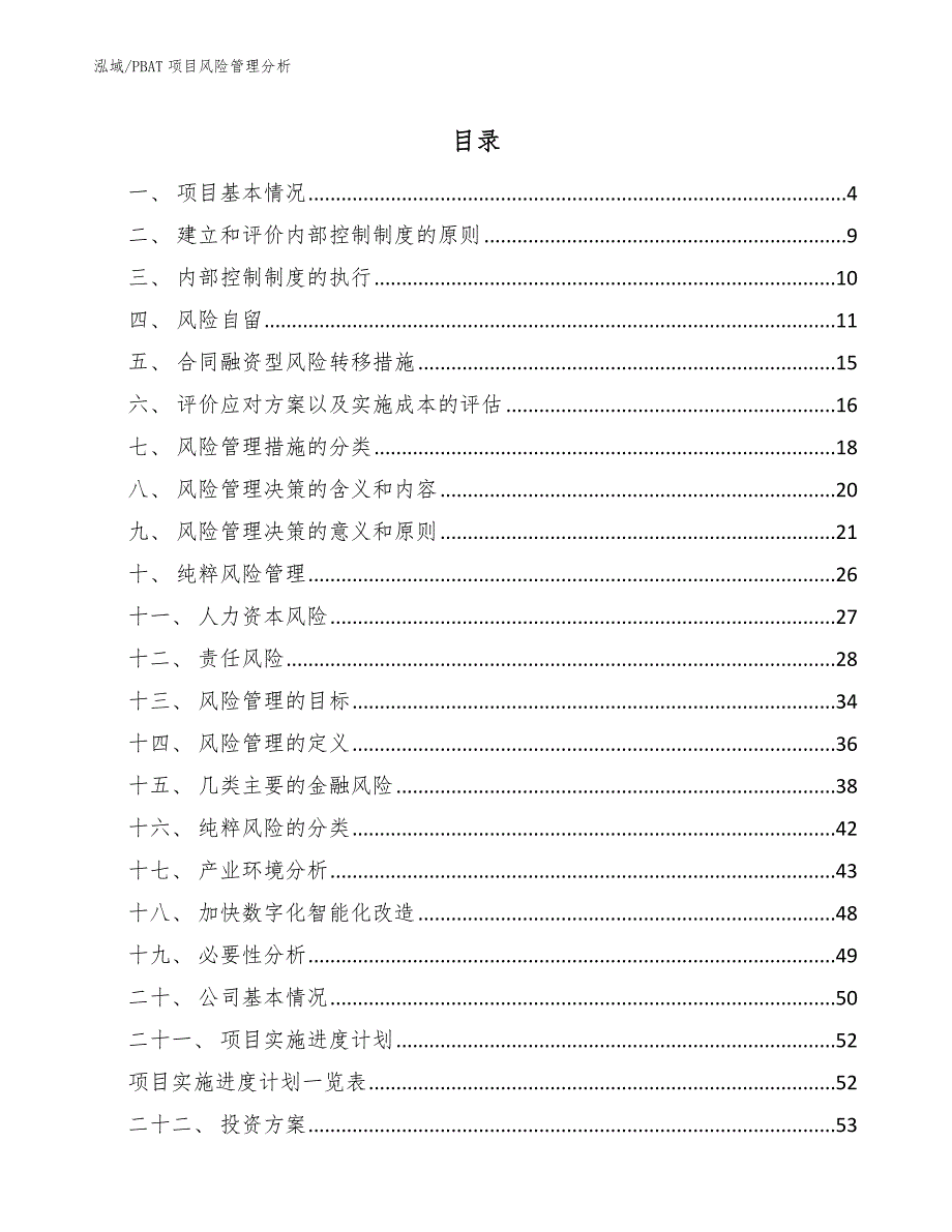 PBAT项目风险管理分析_第2页