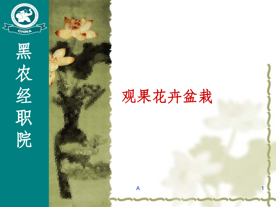 观果盆栽花卉课件_第1页