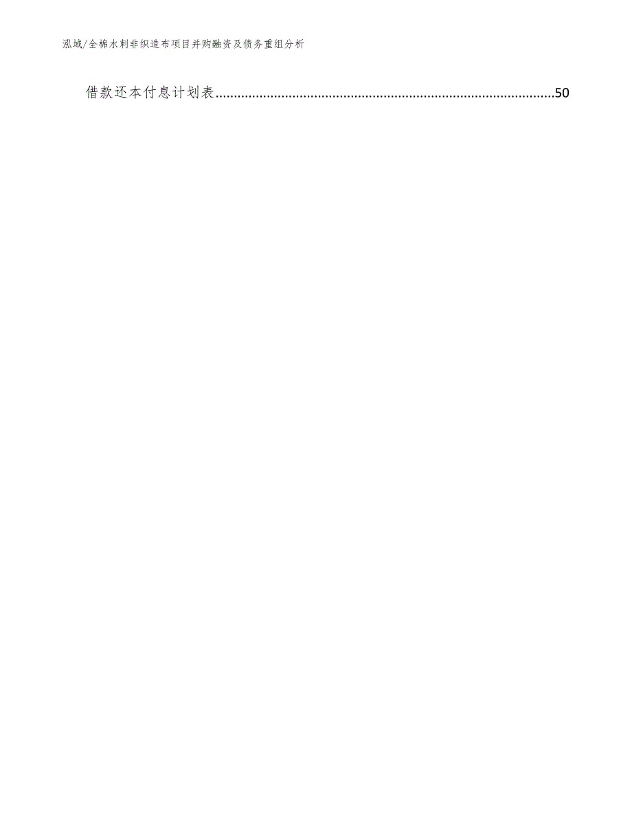 全棉水刺非织造布项目并购融资及债务重组分析（参考）_第3页