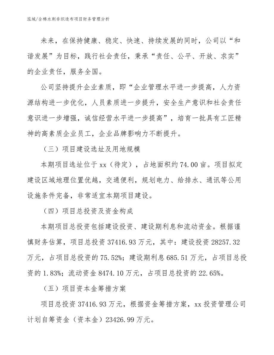 全棉水刺非织造布项目财务管理分析_第5页