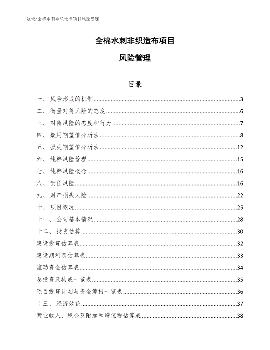 全棉水刺非织造布项目风险管理_第1页