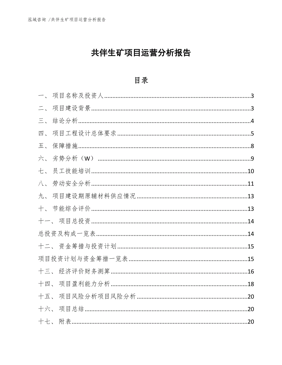 共伴生矿项目运营分析报告_第1页