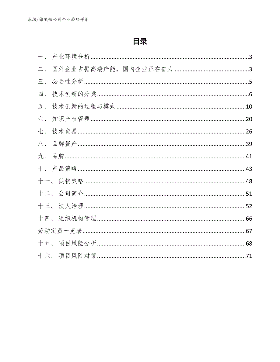 储氢瓶公司企业战略手册_参考_第2页