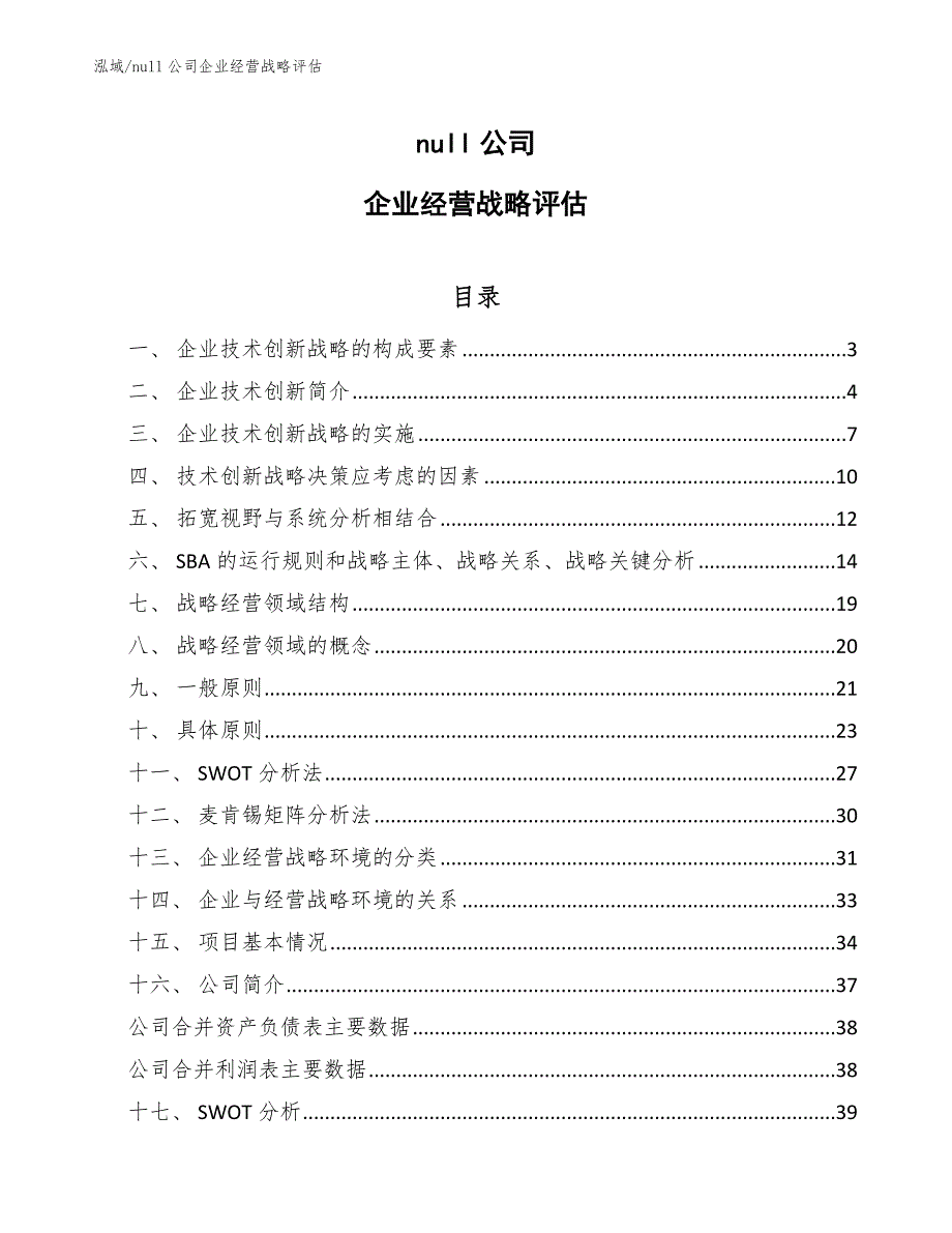 null公司企业经营战略评估（范文）_第1页