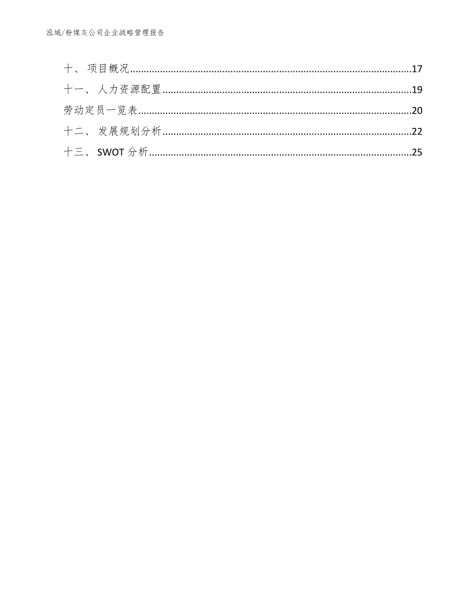 粉煤灰公司企业战略管理报告（参考）_第2页